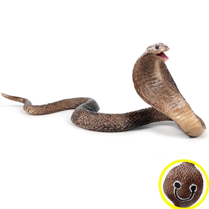 Simulation%20Reptile%20Model%20Cobra%20Snake%20Amphibious%20Spectacles%20Kingsnake%20Model%20Tidy%20Toy%20Ornaments%20-%20Image%203