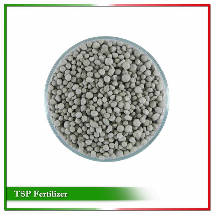 TSP Fertilizer - 500 gm