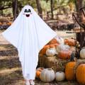 Halloween Costume Cape Spooky Cloak Cape Cosplay Fancy Dress Outfit for Birthday Halloween 147cm. 
