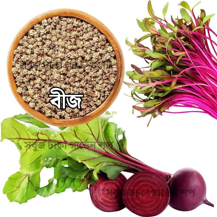 Beet%20Root%20Seeds%20Intact%20Pack%20F1%20Hybrid%20(INDIAN)%2010gm%20-%20Image%203