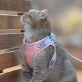 Pet Chest Harness Reflective  Collar Training Collar Harness For Small Puppy   Adjustable s Leads Chest Ss. 