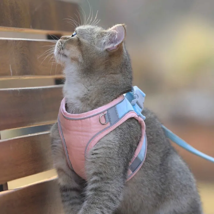 Pet%20Chest%20Harness%20Reflective%20%20Collar%20Training%20Collar%20Harness%20For%20Small%20Puppy%20%20%20Adjustable%20s%20Leads%20Chest%20Ss%20-%20Image%208