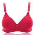 Foam Bra For Women Best Quality. 