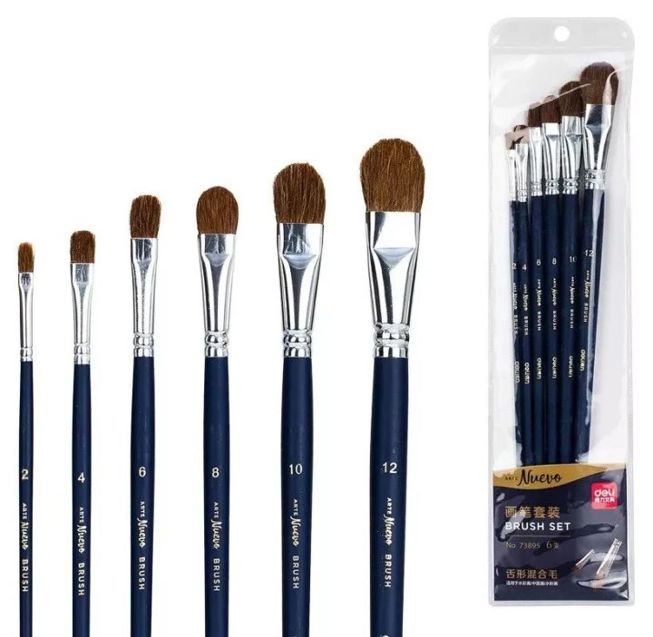 Deli W73895 Brush Set (360*90*12 mm/pcs, 6 Pcs)