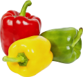 Mix Color Capsicum Seeds 1gm Hybrid.