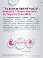 NeoCell Super Collagen Peptides + Vitamin C & Biotin-180 counts. 