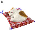 【Yurui】cute cat kitten sound plush doll with sleeping home decor.