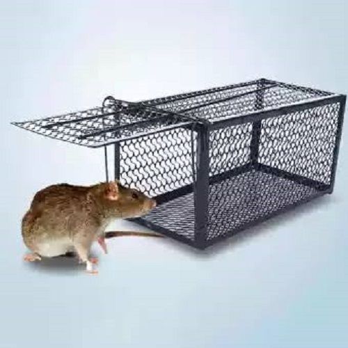Rat Mouse Catching Trap