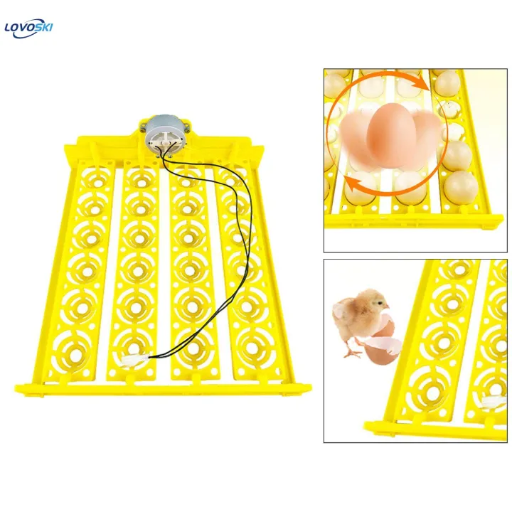 Automatic%20Egg%20Turner%20Tray%2024%20Eggs%20Egg%20Incubator%20Tray%20for%20Chicken%20Quail%20Goose%20DC%2012V%20-%20Image%205