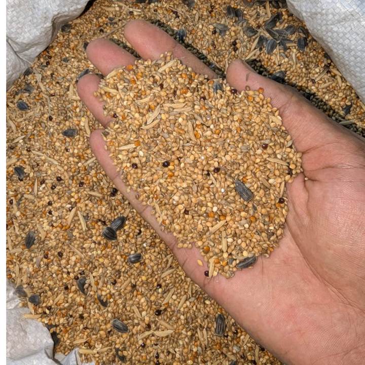 বাজিগর পাখির মিকচার খাবার – Parakeet & Budgie Complete Mix