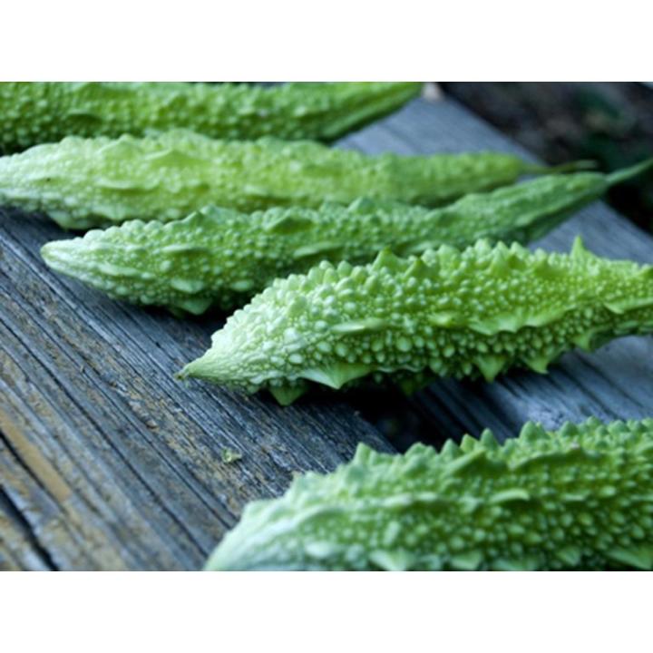 Hybride Uste Balsom Seed-25 Pcs