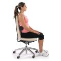 Spine Lumber Roll Cushion for Lower Back Pain, Car Seat & Office Chair.