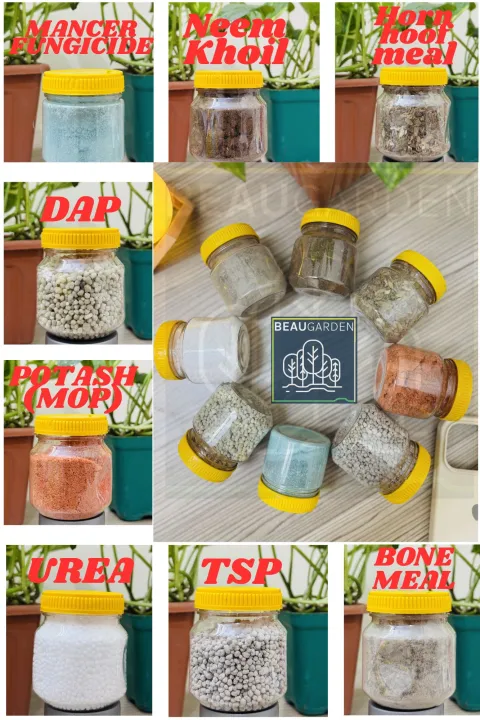Fertilizer%20Combo%20Package.%208%20(%20Eight)%20Essential%20Fertilizer%20For%20Home%20Garden.%20Fresh%20and%20Premium%20caped%20jar.%20-%20Image%205