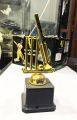 Stainless Steel Cricket Cup | Trophy | - Black & Golden.