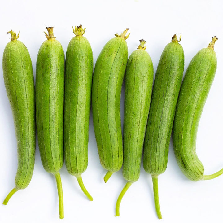 6%20type%20of%20vegetable%20seeds%20(300%20seeds%20total)%20Data%20shak,%20lalshak,%20jali%20kumra,%20dhundol,%20korola,%20puishak%20-%20Minimalistic%20Sophistication%20-%20Image%206