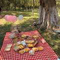 Individual Country Style Wicker Picnic Basket Hamper with Lid and Handle & Liners for Picnics, Parties and BBQs. 