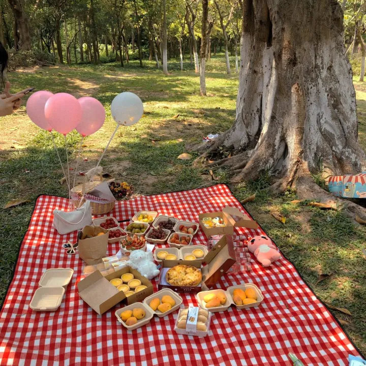Individual%20Country%20Style%20Wicker%20Picnic%20Basket%20Hamper%20with%20Lid%20and%20Handle%20&%20Liners%20for%20Picnics,%20Parties%20and%20BBQs%20-%20Image%206