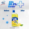 (Tiffin Box Free) Lizol Disinfectant Floor & Surface Cleaner 2 X 500ml Citrus.