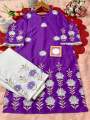 Readymade Padmaja' Two-Piece Collection: Eye-catching Design and Premium Quality Women. 