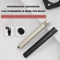 1 Pair C02 Pen-Shaped Condenser Microphone Shockproof Clip B.
