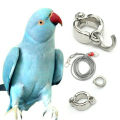 Indian Ringneck Parrot China Ring & Harness.