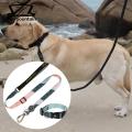 Skymountain Harness Leash Set Adjustable Pet Harness Traction Rope Set. 