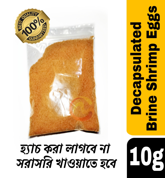 Decapsulated Brine Shrimp Eggs ( Artemia) fish food best for baby fish best quality repack 10 gram