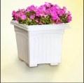 Flower Pot-5.5 Inchi Bp Flower Tob 4 Pcs.