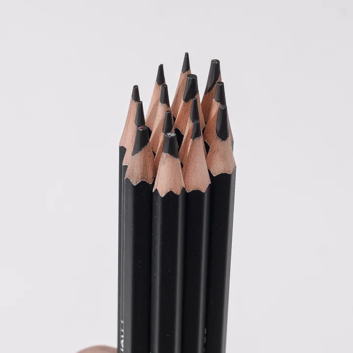 14pcs%20Professional%20Drawing%20Sketch%20Pencil%20Set%20Graphite%20Pencil%20Art%20Supplies%206H%204H%202H%20HB%20BB%202B%203B%204B%205B%206B%207B%208B%2010B%2012B%2014pcs%20-%20Image%204
