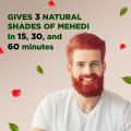 HairCode Egypt Mehedi Crème color (Hair + Beard) 25gm. 