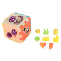 Shape Sorter Blocks Toy Geometric Shapes Plastic Interesting Shape Sorter Blocks Interactive for Indoors for Nursery School. 