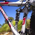 Bicycling MTB Shocks/ Bicycle Bumper Suspension LIGHTER HOUSE Shock Absorber 1200LBS/IN Rear Suspension  (Silver and Black, LH-1200 lbs SHOCKER REAR). 
