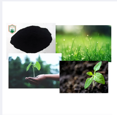 Humic%20Acid%20Powder%20for%20plant%20food%2050%20gram%20-%20Image%203