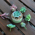 1PC Artificial Green Succulents Creative  DIY Flower Head Home Garden Desktop Decoration Plants. 