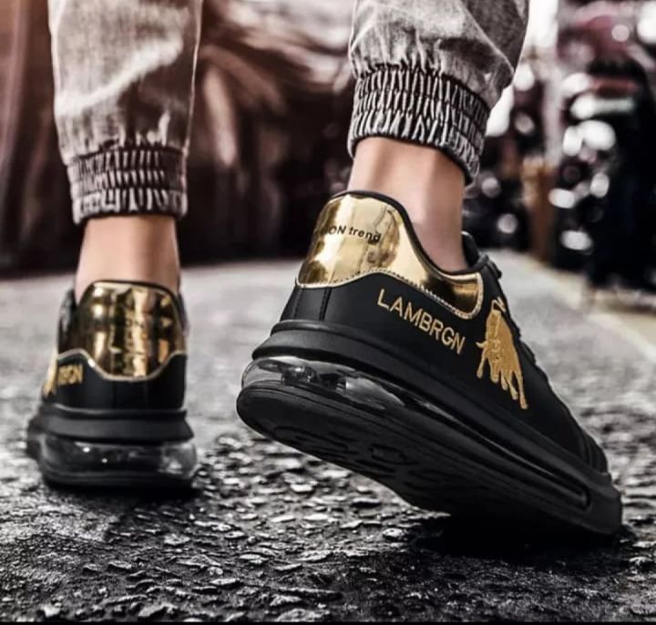 Lambargen%20Sneakers%20For%20Men%20All-Season%20Fabric%20Casual%20Lace-Up%20Style%20Rubber%20Sole%20Multiple%20Color%20-%20Image%202