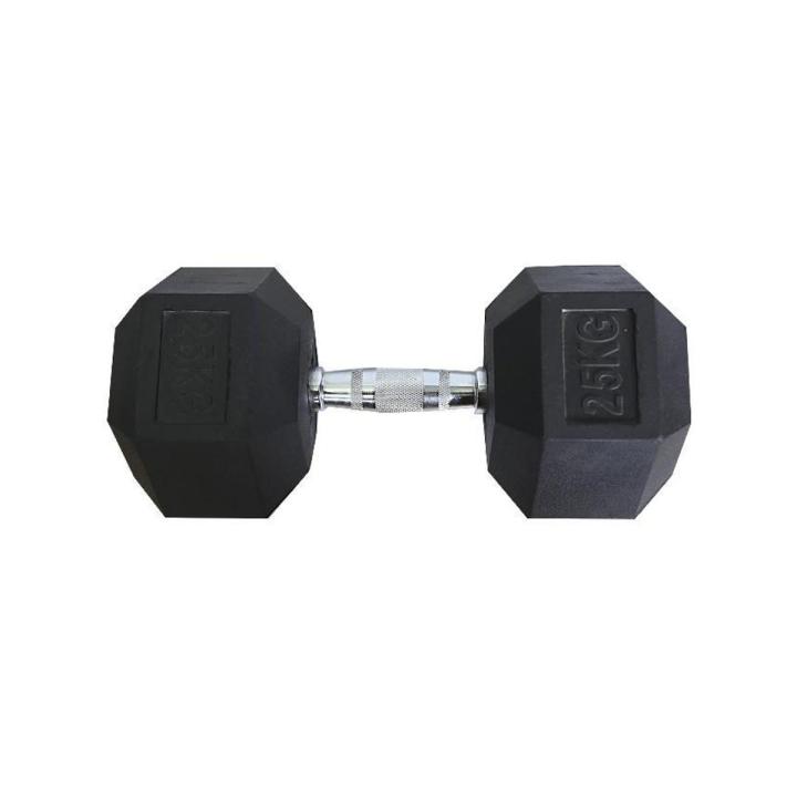 25Kg Dumbbell - Black