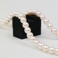 Single Line White Pearl Necklace Gift For- Women & Girls Mother of Pearl Necklace.