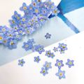 20 PCS DIY Dried Flowers Elegant Beautiful Artificial Forget-Me-Not Simple Creative Pressed Flower Decoration.
