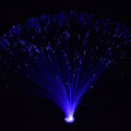 【3C VictoryEagle】LED Fiber Optic Night Lamp Christmas Wedding Holiday Decor. 