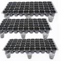 Germination cup-Hydroponic cup 50 pcs. 
