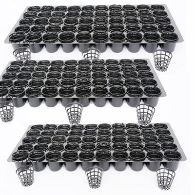 Germination%20cup-Hydroponic%20cup%2050%20pcs%20-%20Image%207