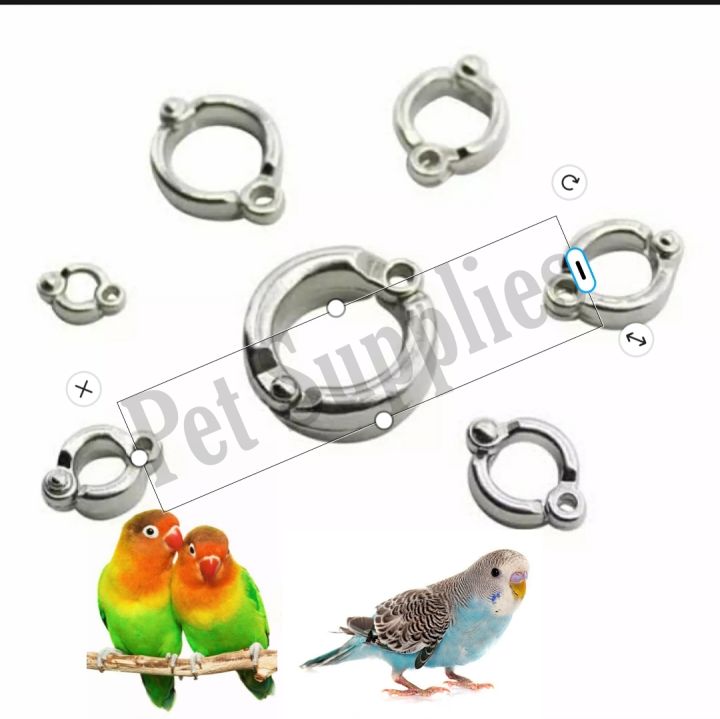 China%20Leg%20Ring%20only%20for%20Love%20Bird%20&%20English%20Budgriger%20%E0%A6%B2%E0%A6%BE%E0%A6%AD%20%E0%A6%AC%E0%A6%BE%E0%A6%B0%E0%A7%8D%E0%A6%A1%20%E0%A6%AA%E0%A6%BE%E0%A6%96%E0%A6%BF%E0%A6%B0%20%E0%A6%9C%E0%A6%A8%E0%A7%8D%E0%A6%AF%20%E0%A6%AA%E0%A6%BE%E0%A7%9F%E0%A7%87%E0%A6%B0%20%E0%A6%B0%E0%A6%BF%E0%A6%82%20-%20Image%202