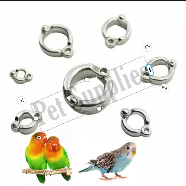 China%20Leg%20Ring%20only%20for%20Love%20Bird%20&%20English%20Budgriger%20%E0%A6%B2%E0%A6%BE%E0%A6%AD%20%E0%A6%AC%E0%A6%BE%E0%A6%B0%E0%A7%8D%E0%A6%A1%20%E0%A6%AA%E0%A6%BE%E0%A6%96%E0%A6%BF%E0%A6%B0%20%E0%A6%9C%E0%A6%A8%E0%A7%8D%E0%A6%AF%20%E0%A6%AA%E0%A6%BE%E0%A7%9F%E0%A7%87%E0%A6%B0%20%E0%A6%B0%E0%A6%BF%E0%A6%82%20-%20Image%202