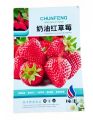 Hybrid Bari Red Strawberry -হাইব্রিড স্ট্রবেরি Imported Global Seeds - 25 Pcs Seeds Hybrid China /seeds/seed/bij. 