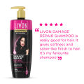 Livon Damage Repair Protein Shampoo 300ml (FREE Parachute Advansed Onion Enriched Coconut Hair Growth Oil 200ml). 