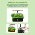 YIERYI Hydroponic AB Fertilizer, Hydroponic Nutrient Solution, Soilless Cultivation Nutrient Solution. 
