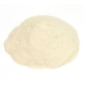AGAR AGAR POWDER - 20 GM. 