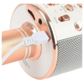 Wireless Bluetooth Microphone Speaker Karaoke WS-858_Silver Bluetooth Handheld Mic USB Player. 