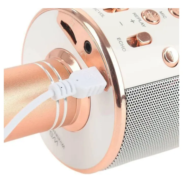 Wireless%20Bluetooth%20Microphone%20Speaker%20Karaoke%20WS-858_Silver%20Bluetooth%20Handheld%20Mic%20USB%20Player%20-%20Image%205