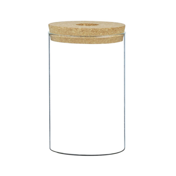 Transparent%20Hydroponic%20Flower%20Pot%20Imitation%20Glass%20Soilless%20Flower%20Pot%20Home%20Vase%20Fullhouse%20-%20Image%205